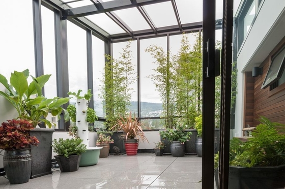 Grauer Glas Sonnenzimmer Solarium Vorgefertigte Veranda mit Aluminiumrahmen und Polygon Dachform